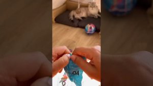 Кто же нам попадётся 🤔