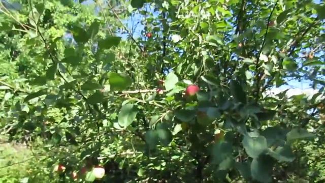 Чуть не шандарахнула смотреть онлайн