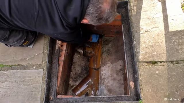 Ratgate installation is easy and it stops rats from entering your property. Call RSJ Drains today. смотреть онлайн