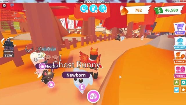 Я его ОБМЕНЯЛА!Что ДАЮТ за GHOST BUNNY/Трейды на Приведение Банни Легендс Ми Адопт Ми смотреть онлайн