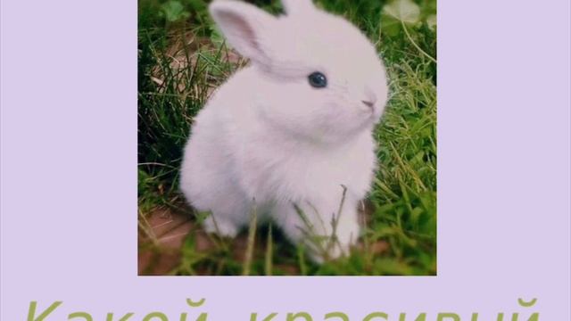 22-02-2025 смотреть онлайн