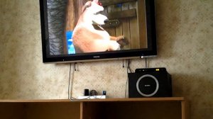 Какашка Маша и Медветь.