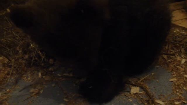 Сеня 25.12.13г смотреть онлайн