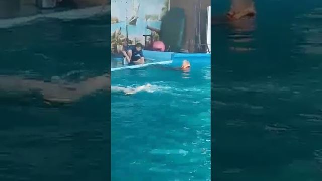 10 декабря 2021 г.