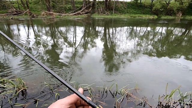 Голавль, щуки на малой реке в маябрь. Лови с подхода!