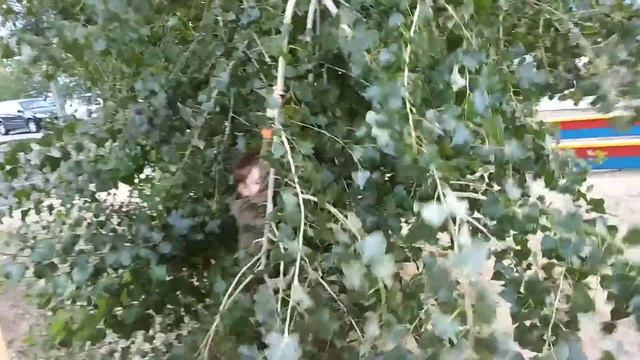 Прыжок с крыши. смотреть онлайн