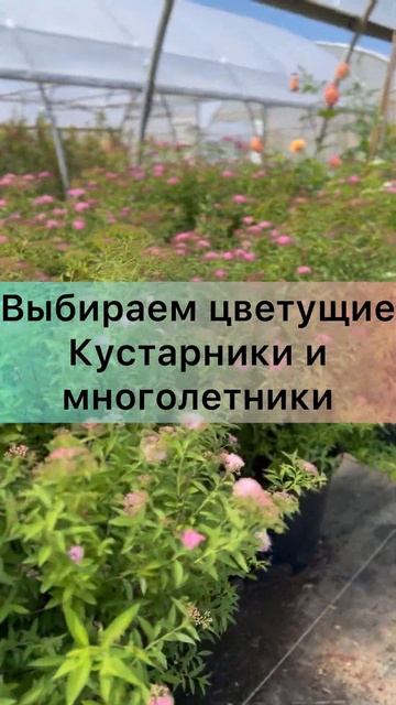 Красота страшная сила 💪 смотреть онлайн