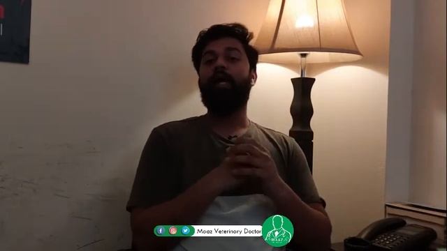 How to treat Constipation of Cat at Home ? | گھر میں بلی کی قبض کا علاج کیسے کیا جا سکتا ہے؟ смотреть онлайн