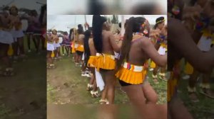 Umlanga Reed Dance  Traditional African Zulu Dance