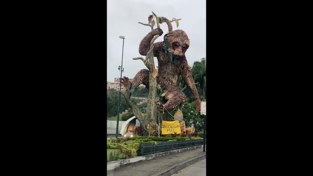 Emisión en directo de Informativo noticias смотреть онлайн