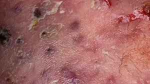 Relax Every Day ( GY P7) #SacDepSpa467