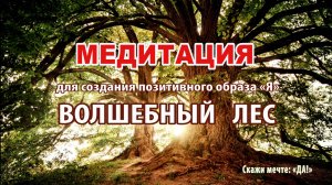 Медитация для создания позитивного образа «Я». Волшебный лес.
