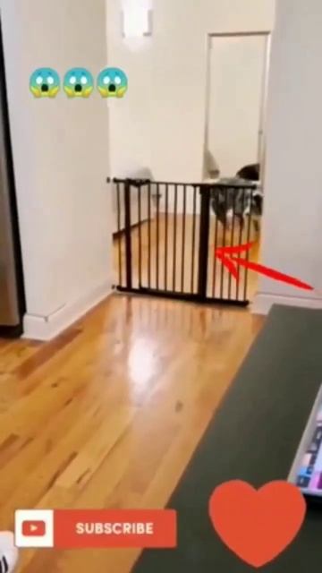 #shorts #shortvideo смотреть онлайн