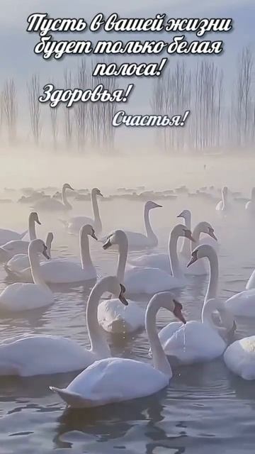 #доброеутро #солнце #длядрузей #открытки