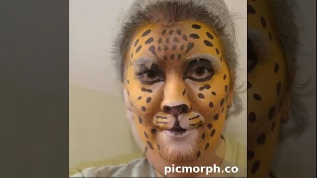 Cheetah transformation смотреть онлайн