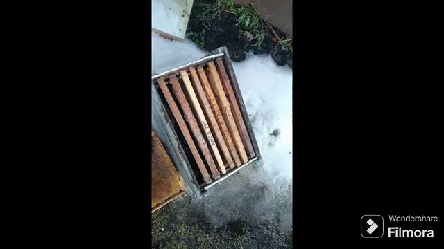 Весенняя подкормка пчел на моей пасеке 17.02.24 смотреть онлайн
