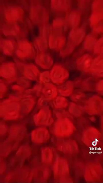 Эдит из тик тока (видео не маё!) смотреть онлайн