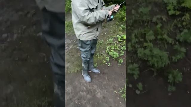 Сын и мама ловят Симу #рыбалка #сахалин #сима смотреть онлайн