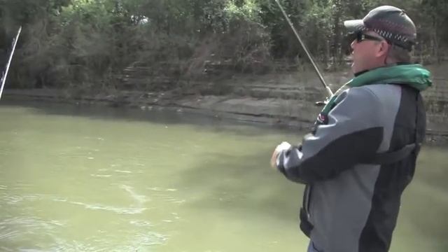 P-LINE Laser Minnow & Pro-Cure On AWTV