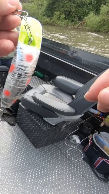 The PERFECT High Water Spring Salmon Fishing TACTICS!!! #shorts #fishing #salmonfishing #salmon смотреть онлайн