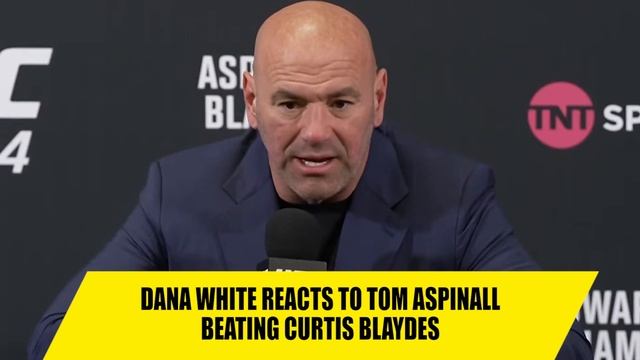 Muhammad Mokaev responds to Dana White cutting him from UFC after Manel Kape fight смотреть онлайн