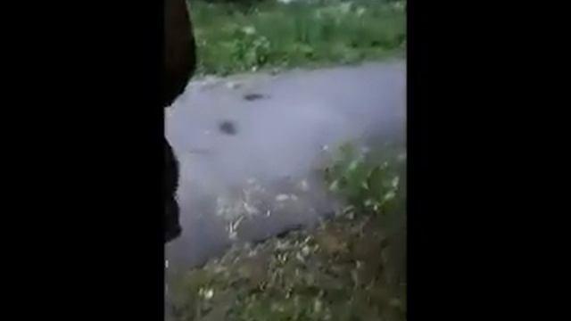 Ya62.ru: Рязанец роет землю смотреть онлайн