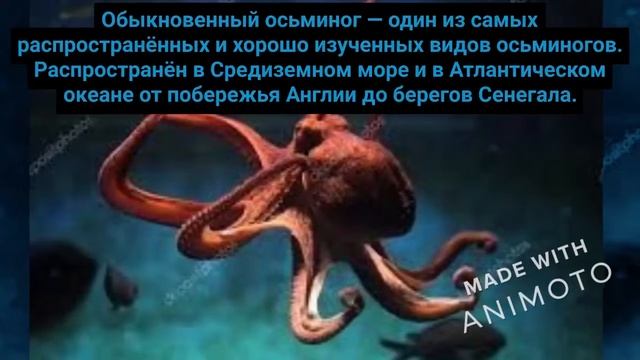 Визир Кирилл 2 смотреть онлайн