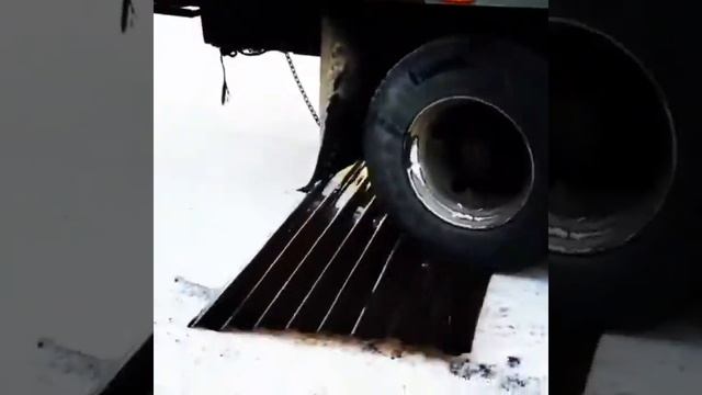 ПАРНИКИ-СИБИРИ