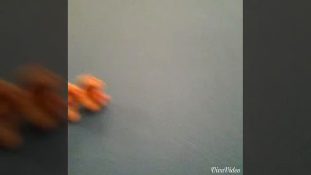 Песня Дианы.(Slown Down) .