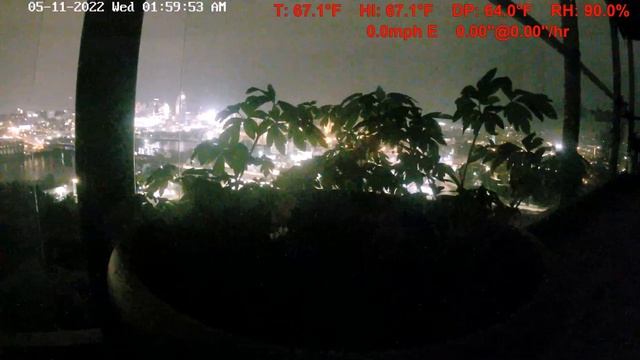 Bleeding Heart (Dicentra) Growing and Blooming Flowers 31 Day Time-Lapse смотреть онлайн