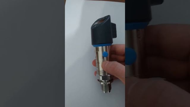 реле давления (датчик давления) Ceraphant PTP31B Endress+Hauser смотреть онлайн