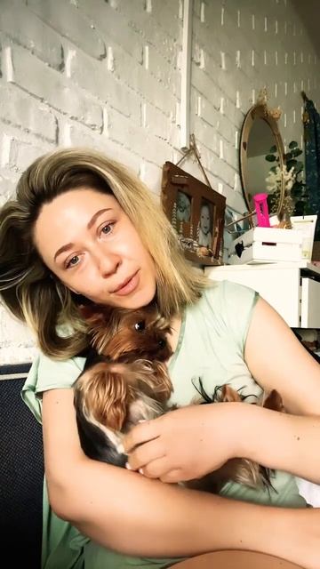 Доброе☀️💛#смешныеживотные #смешныевидео #йорк #собаки #питомцы #любовь #любимые #dog #тверь