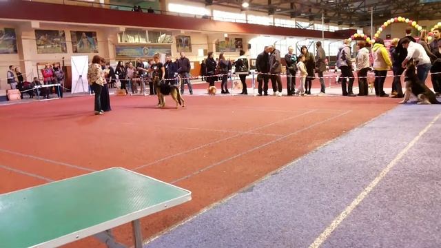 24.09.17 Сас Караганда кобели Рабочий