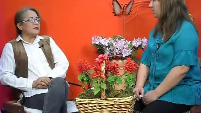 LIC EN ENFERMERIA WILDA DE KLOSKO смотреть онлайн