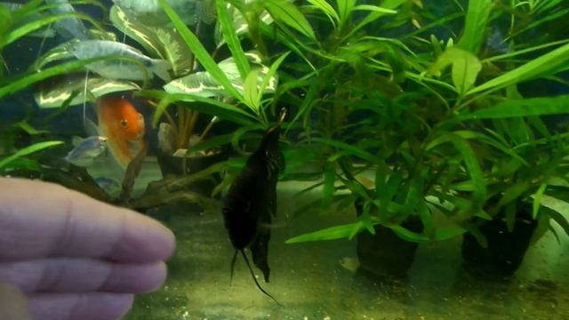 ...777 ⁷⁷⁷ видео