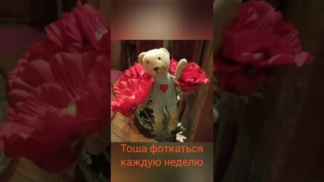 Факты про Тошу!Такого мы не ожидали 🐬