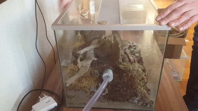 Ameisenfarm - Camponotus ligniperda #32 - Comeback! смотреть онлайн
