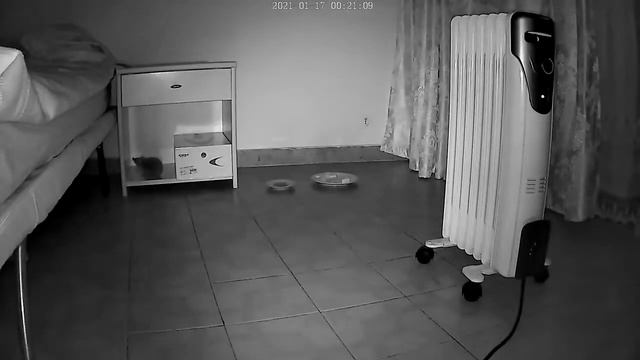 Ёжик Вася смотреть онлайн