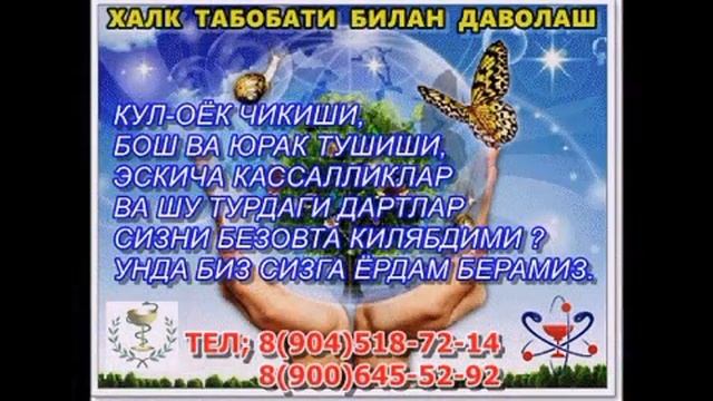 Санкт Петербургда узбек айолларга керакли видео смотреть онлайн