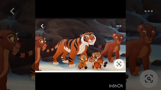 Варя и её тигрята