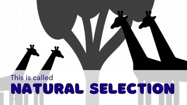 All about microbes 6: Natural selection смотреть онлайн