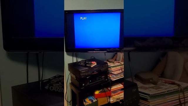 Opening To Wild Grizzly 2000 VHS