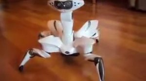 roboquad робот краб