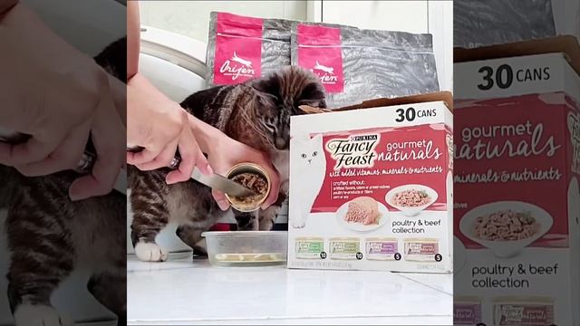 Unboxing New Purina Fancy Feast Gourmet Naturals Poultry & Beef Collection Wet Cat Food Variety Pac смотреть онлайн