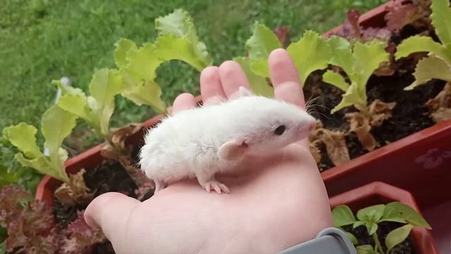 27 июля 2020 г. смотреть онлайн