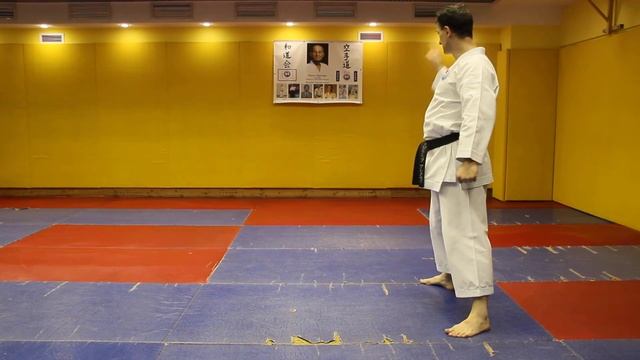 Вадо. Урок 29. Ката 25 - Дзиттэ разбор смотреть онлайн