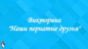 1 апреля. День птиц