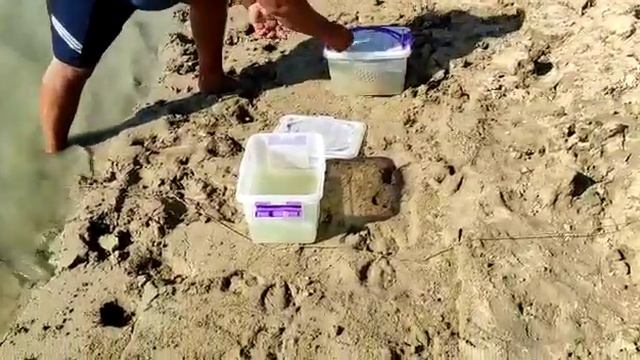 Сазан доедет до дома живой. смотреть онлайн