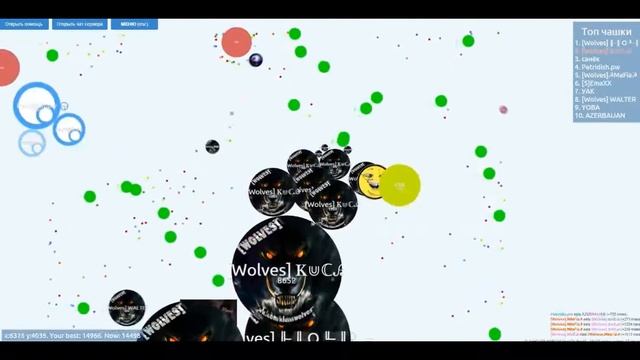 Клан [Wolves] | PetriDish ✔ | Мощная атака на сервер MEOW смотреть онлайн