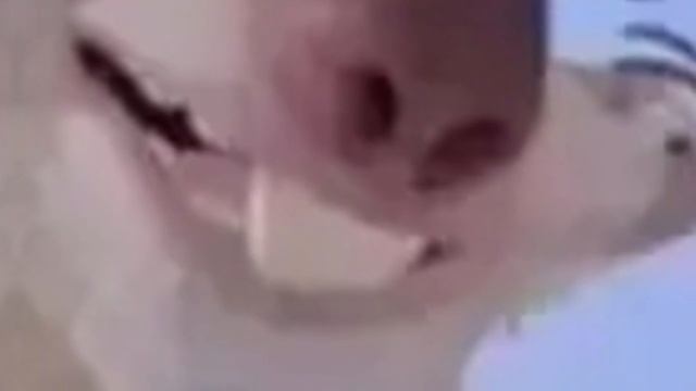 🇧🇷 Satoru Gojo Vs Toji Fushiguro Batalha Final / Jujutsu Kaisen 2 Dublado